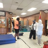 Executive Martial Arts ico