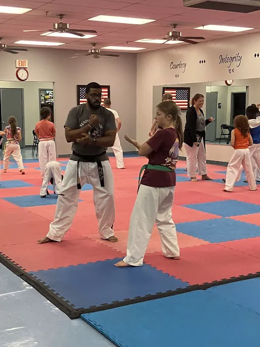 Aregis Taekwondo Center Picture 1