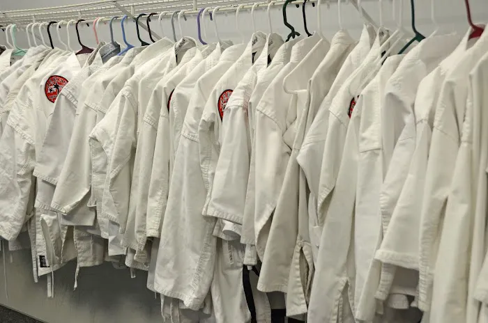 Aregis Taekwondo Center Picture 5