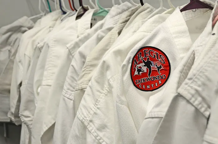 Aregis Taekwondo Center Picture 3