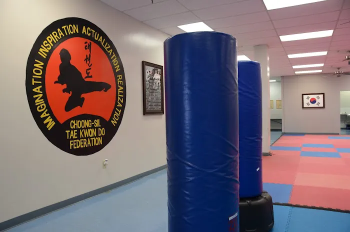 Aregis Taekwondo Center Picture 8