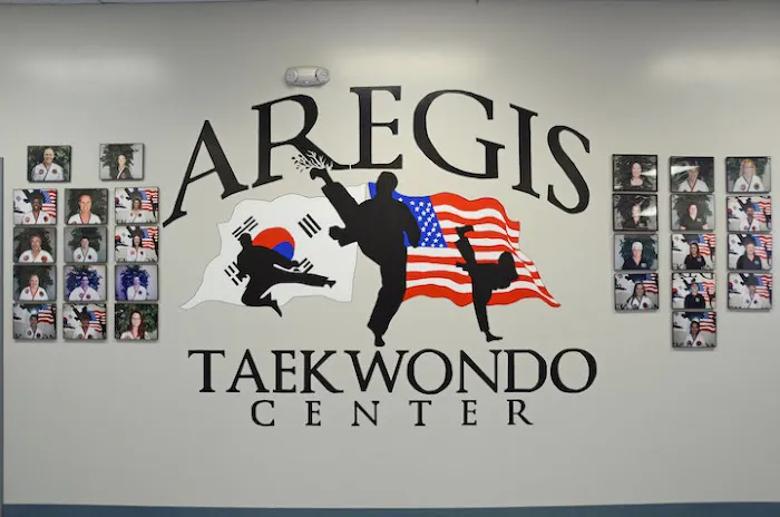Aregis Taekwondo Center Picture 10