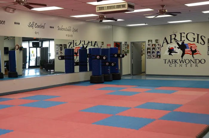Aregis Taekwondo Center Picture 7