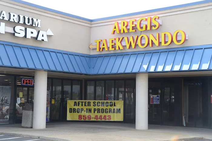 Aregis Taekwondo Center Picture 9