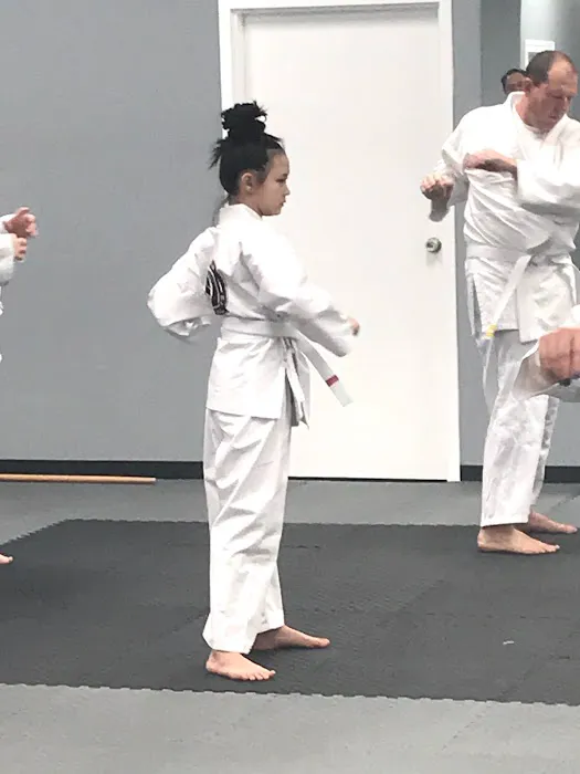 Blazier Martial Arts Picture 9