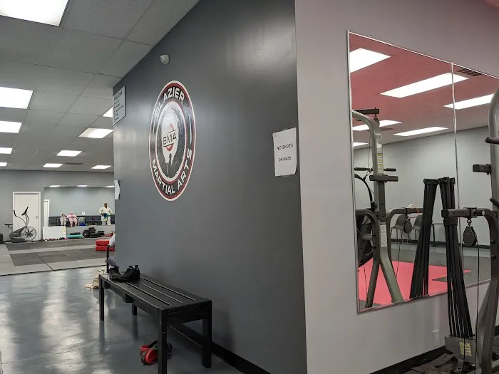 Blazier Martial Arts Picture 5