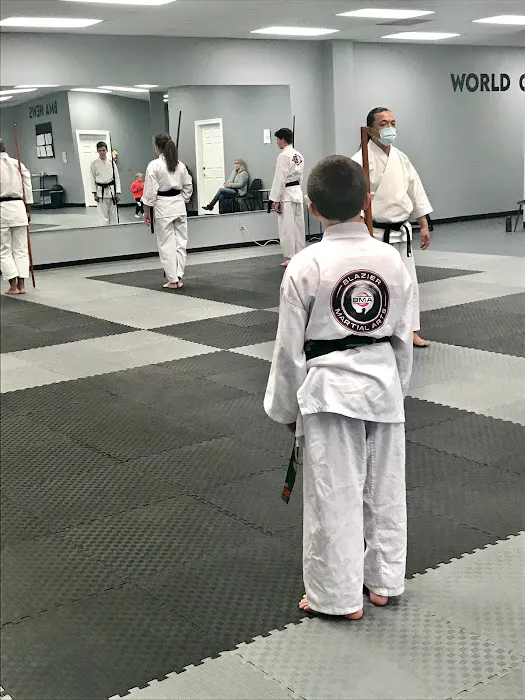 Blazier Martial Arts Picture 10