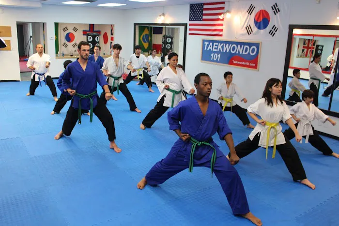 Taekwondo 101 Picture 1