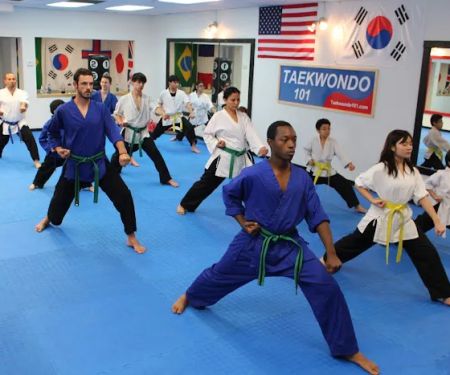 Taekwondo 101