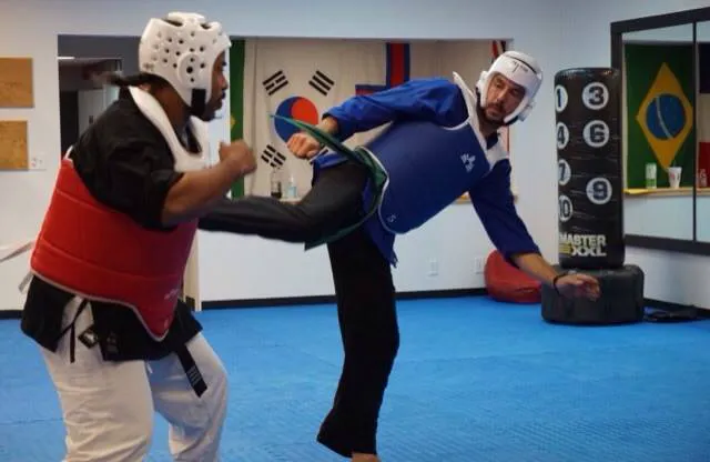 Taekwondo 101 Picture 3