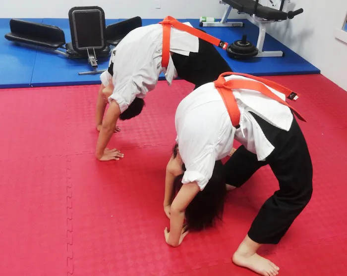 Taekwondo 101 Picture 4