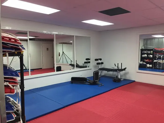 Taekwondo 101 Picture 9