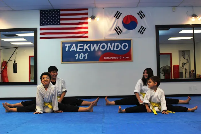 Taekwondo 101 Picture 10