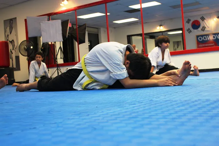 Taekwondo 101 Picture 8