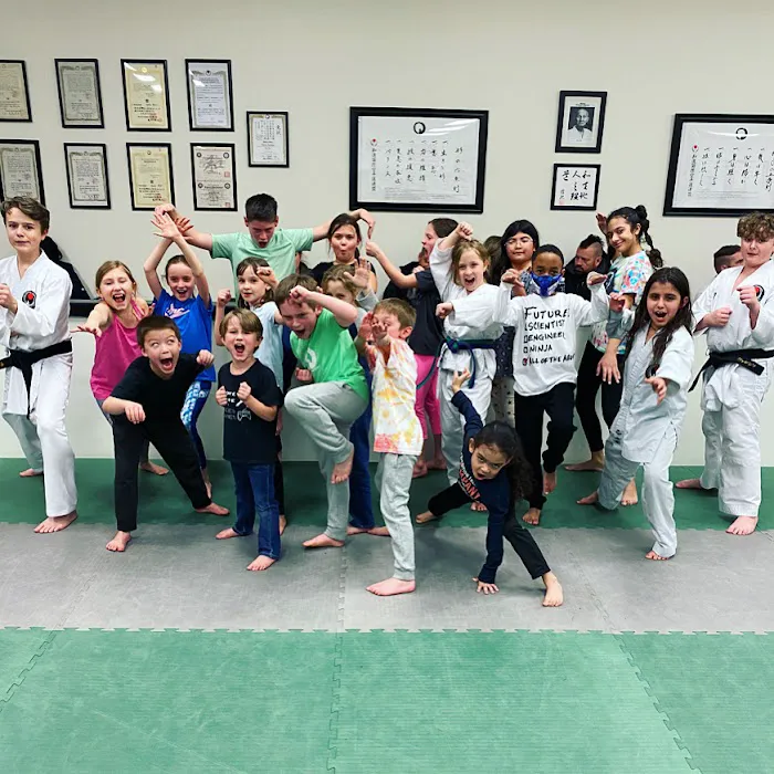 New Visions Dojo Picture 2