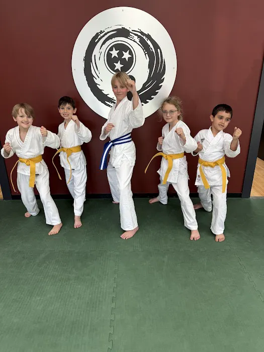 New Visions Dojo Picture 4