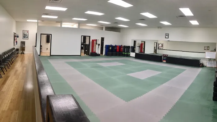 New Visions Dojo Picture 8