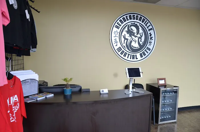 Hendersonville Martial Arts Picture 1