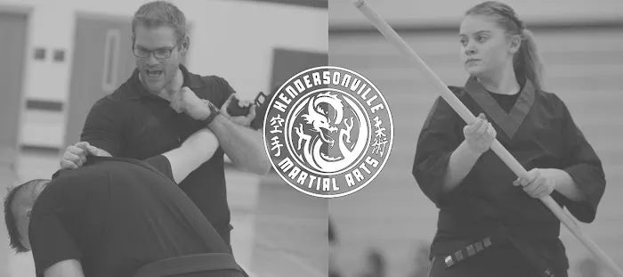 Hendersonville Martial Arts Picture 6