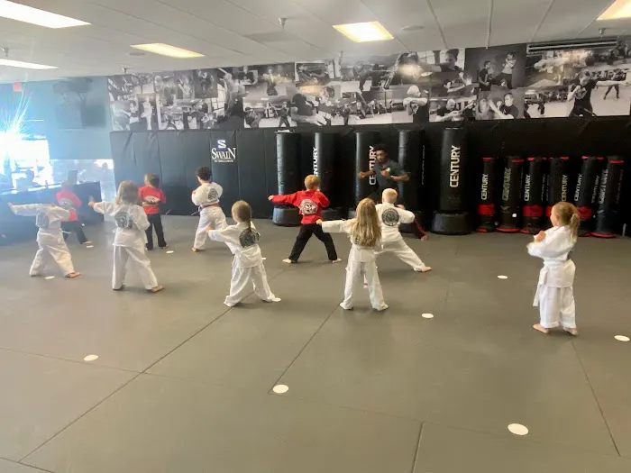 Hendersonville Martial Arts Picture 4