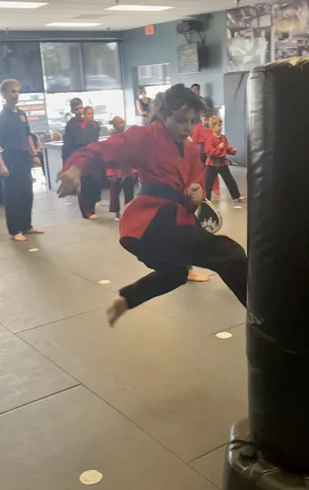 Hendersonville Martial Arts Picture 9