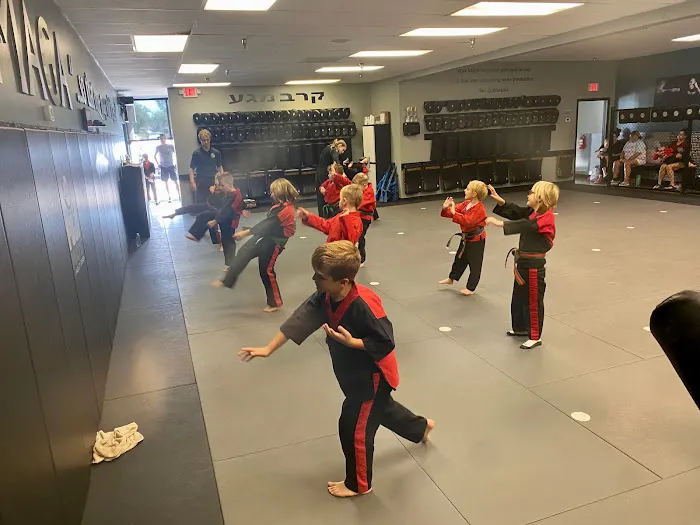 Hendersonville Martial Arts Picture 10