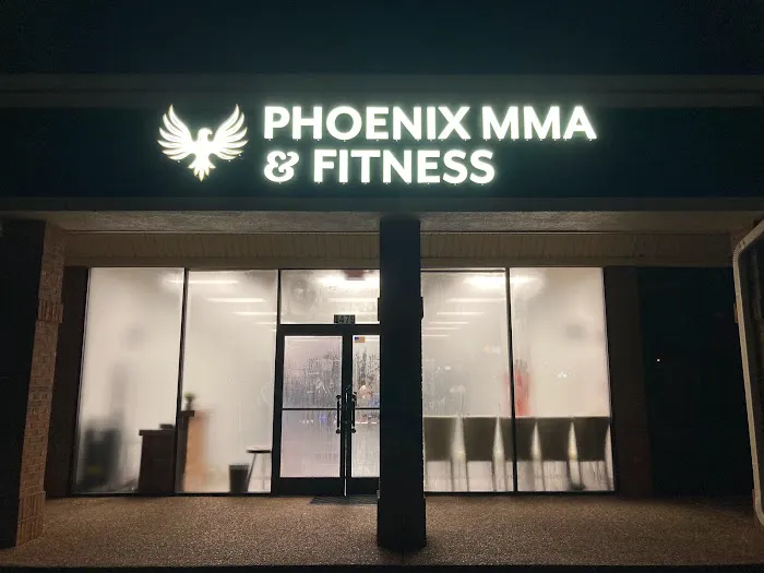 Phoenix MMA and Fitness Picture 1