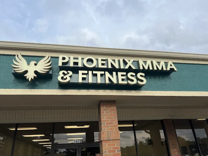 Phoenix MMA and Fitness Picture 3