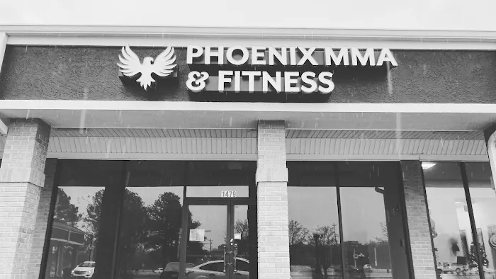 Phoenix MMA and Fitness Picture 8
