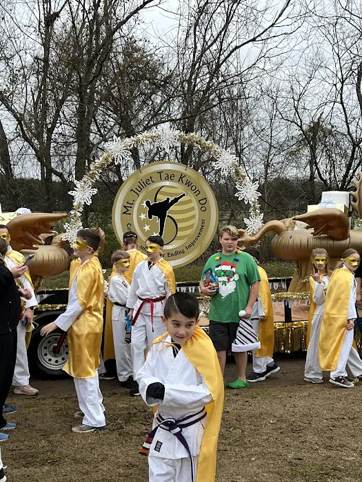 Mount Juliet Taekwondo inc Picture 3