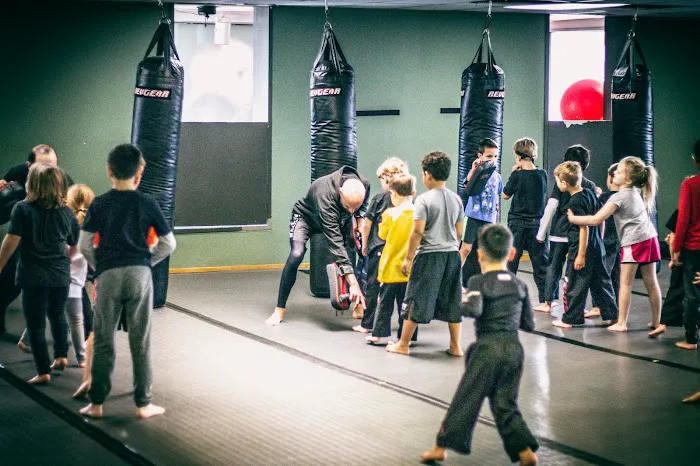 Elite Martial Arts - Bellevue Picture 2