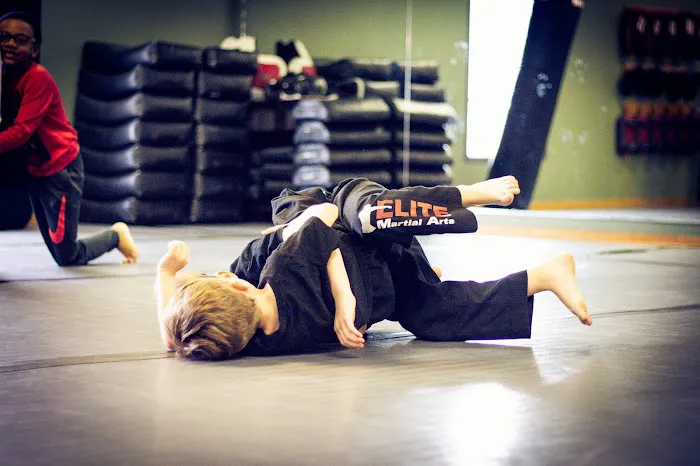 Elite Martial Arts - Bellevue Picture 4