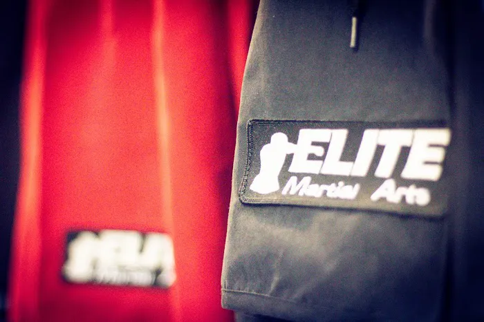 Elite Martial Arts - Bellevue Picture 6