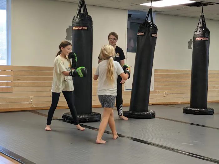 Elite Martial Arts - Bellevue Picture 10