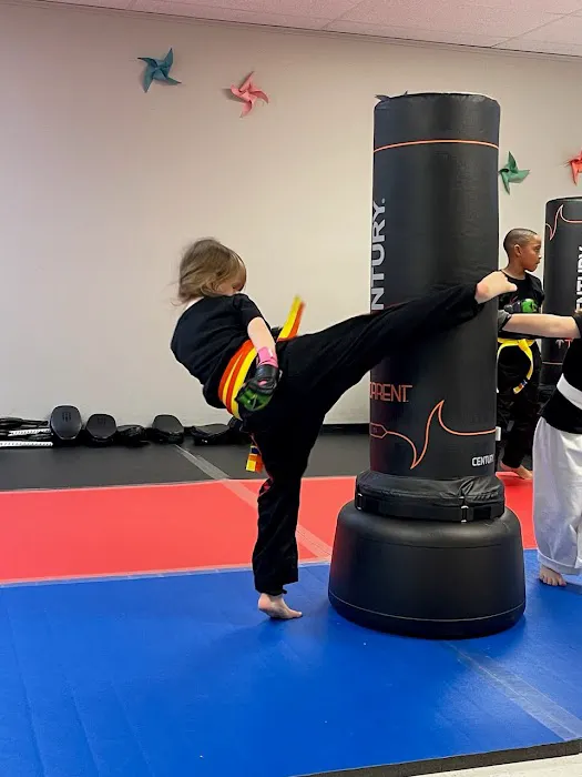 Soul and Body Martial Arts Picture 9