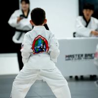 Master Bae's World Class Taekwondo ico