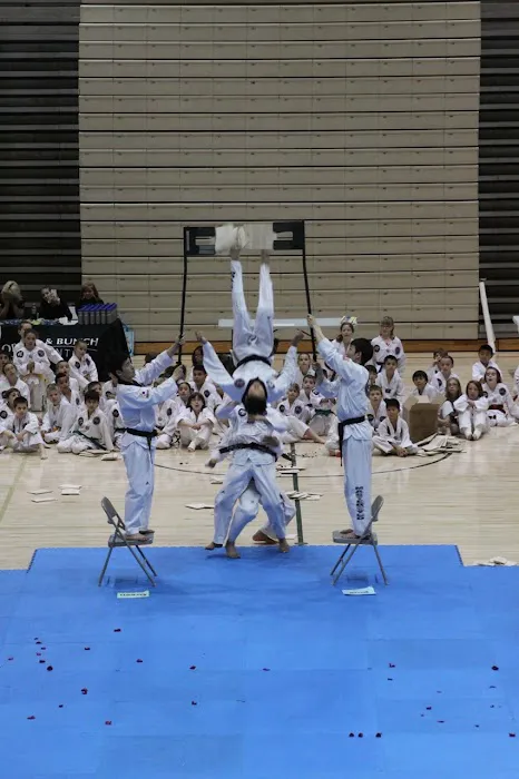 Master Bae's World Class Taekwondo Picture 2
