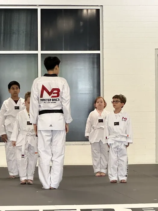 Master Bae's World Class Taekwondo Picture 6