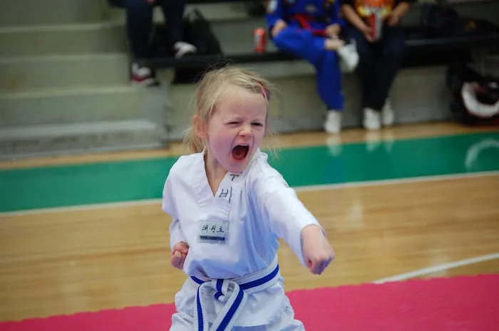 Master Bae's World Class Taekwondo Picture 8