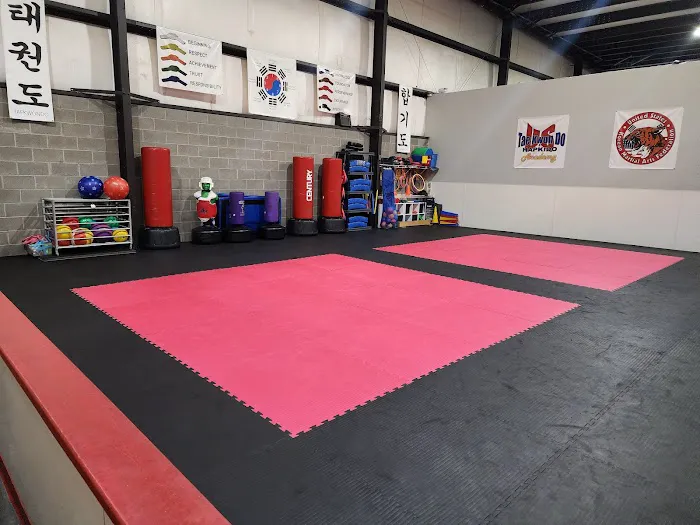 US Tae Kwon DO Academy Picture 1