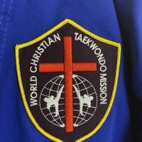 Shin's Martial Arts Institute ico