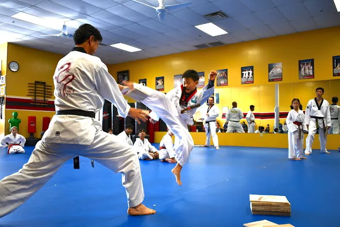 Yong-In Martial Arts Picture 5