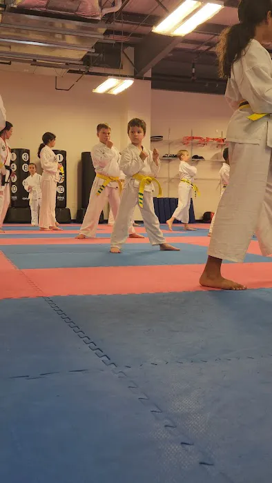 Franklin Family Taekwondo Picture 1