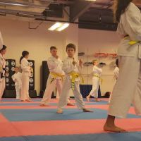 Franklin Family Taekwondo ico