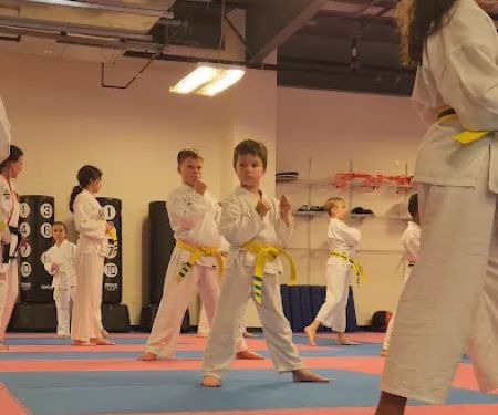 Franklin Family Taekwondo