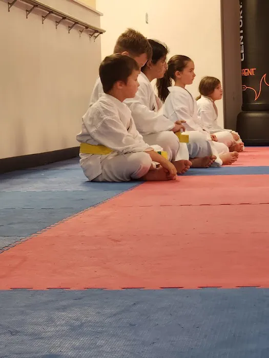 Franklin Family Taekwondo Picture 5