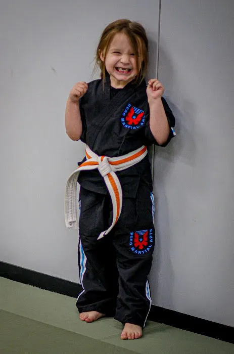 Hero Martial Arts- Hendersonville Picture 9