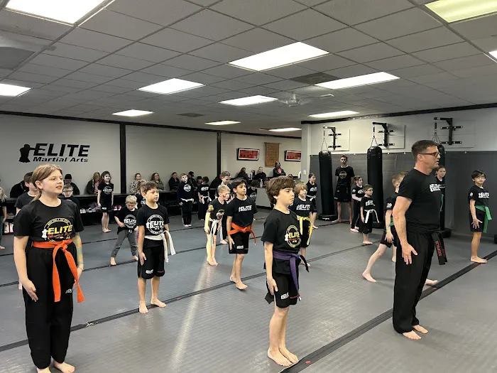 Elite Martial Arts Picture 5