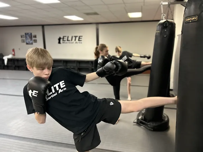 Elite Martial Arts Picture 8