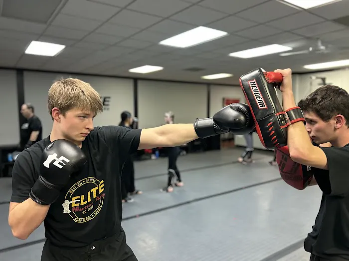 Elite Martial Arts Picture 6